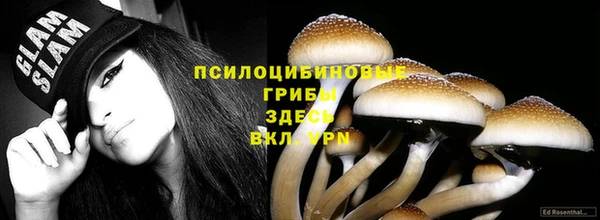 стаф Горняк