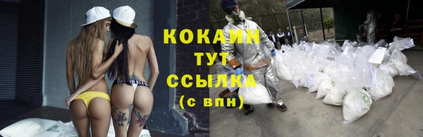 индика Вязьма