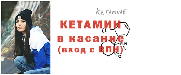 стаф Горняк