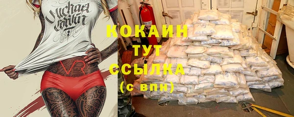 стаф Горняк